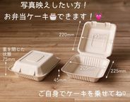 選べるカラー♪虹色カスタムセンイルケーキ 4号 6