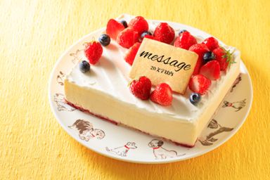低糖質ケーキ 砂糖不使用！ レアチーズ 13.5×11cm 4.5号
