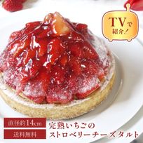【お中元 御中元 早割 お取り寄せ 送料無料 誕生日ケーキ メディア掲載店】国産小麦 完熟いちごのストロベリーチーズタルト 14cm お中元2025